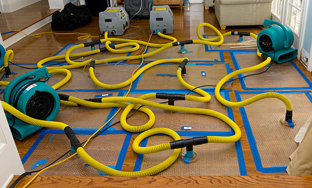 Professional Structural Drying And Dehumidification technician working in Newton, MS